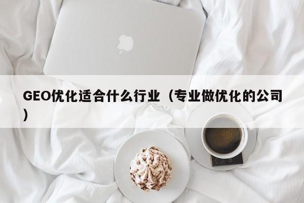 GEO优化适合什么行业（专业做优化的公司）